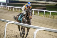 20251113-191214-DSC_1063