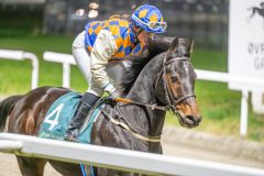 20251113-191215-DSC_1073