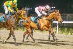 20251113-191745-DSC_1085