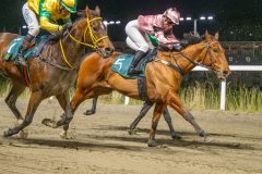 20251113-191745-DSC_1086