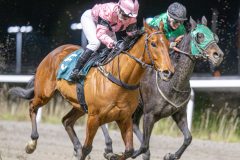 20251113-191835-DSC_8906