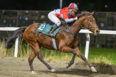 20251113-191841-DSC_8941