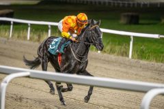 20251113-193630-DSC_1129