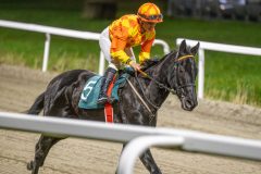 20251113-193631-DSC_1131