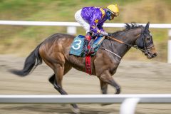 20251113-193747-DSC_9063