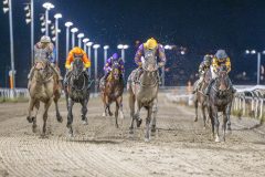 20251113-194709-DSC_1178