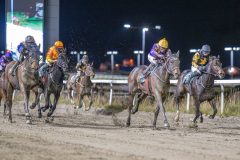 20251113-194756-DSC_9180