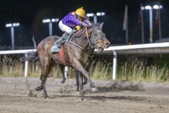 20251113-194757-DSC_9195