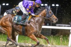 20251113-194800-DSC_9229