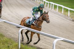 20251113-200428-DSC_9306