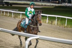 20251113-200431-DSC_1275