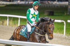 20251113-200432-DSC_1280