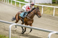 20251113-200437-DSC_9355