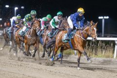 20251113-201136-DSC_9479