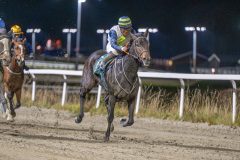 20251113-201215-DSC_1303