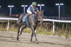 20251113-201216-DSC_1306