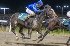 20251113-201217-DSC_1312