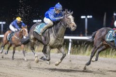 20251113-201306-DSC_9558