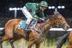 20251113-201308-DSC_9578