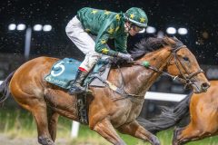 20251113-201308-DSC_9581