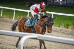 20251113-204410-DSC_1362