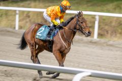 20251113-204428-DSC_9624