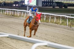 20251113-204432-DSC_1370