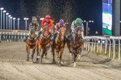 20251113-205022-DSC_1405