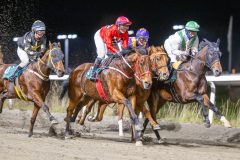 20251113-205110-DSC_9804