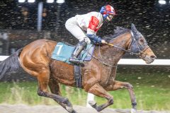 20251113-205112-DSC_9840