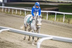 20251113-211049-DSC_1440