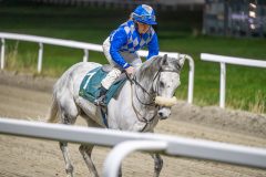 20251113-211050-DSC_1451