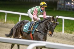 20251113-211054-DSC_1465