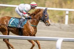 20251113-211203-DSC_0023