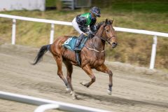 20251113-211239-DSC_0093