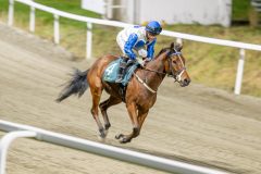 20251113-211242-DSC_0117