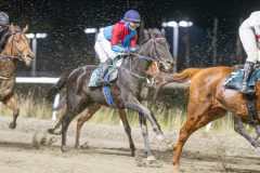 20251113-212020-DSC_0182