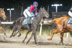 20251113-212020-DSC_0184