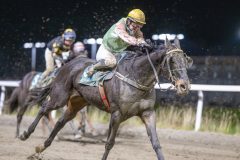 20251113-212152-DSC_0282