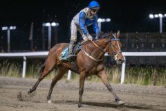 20251113-212153-DSC_0298