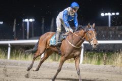 20251113-212154-DSC_0299