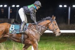 20251113-212155-DSC_0322