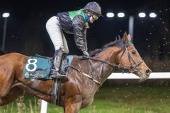 20251113-212155-DSC_0323