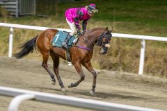 20251113-213316-DSC_0351