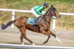 20251113-213958-DSC_0410