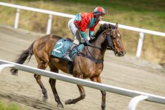 20251113-214002-DSC_0428