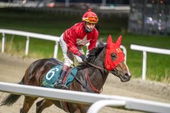 20251113-214007-DSC_1678