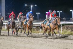 20251113-214526-DSC_0520