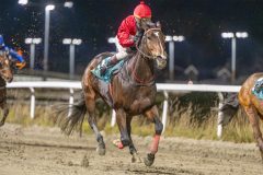 20251113-214610-DSC_1707