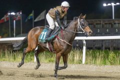 20251016-202421-DSC_4280